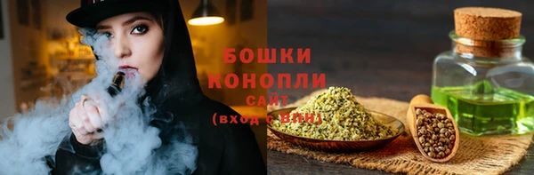 прущие крисы Белокуриха