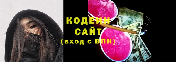 МДПВ Богородск