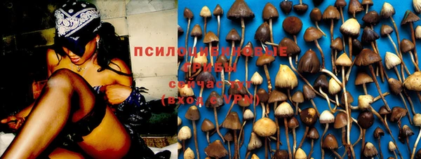 ECSTASY Беломорск