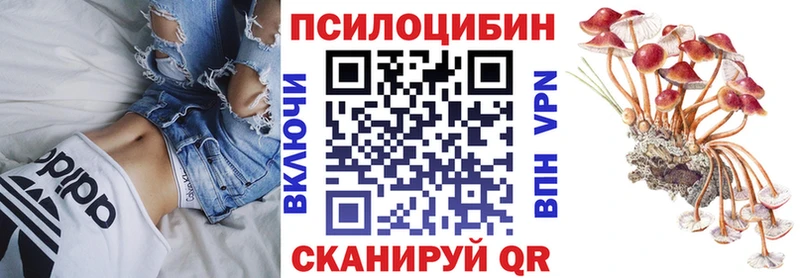 наркота  OMG сайт  Псилоцибиновые грибы Magic Shrooms  Оха 
