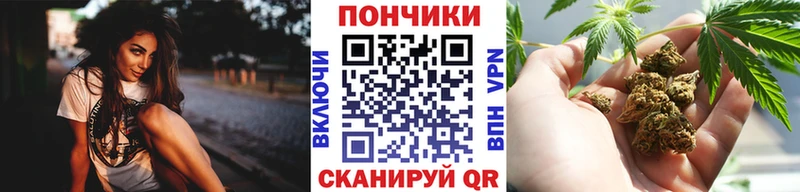 Бошки марихуана план  дарнет шоп  блэк спрут ONION  Оха 